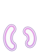 048