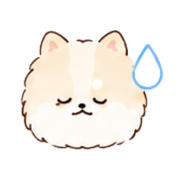 002