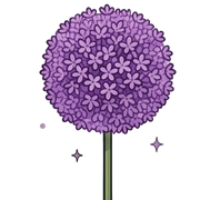 008