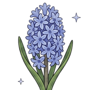 010