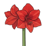 015