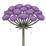 023