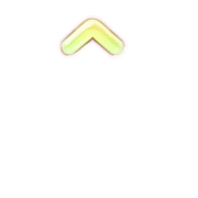 231