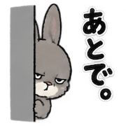 017