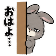 029