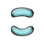 010