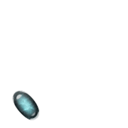256