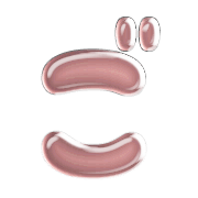 060