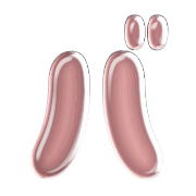 151