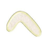 029