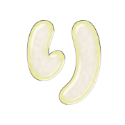 040