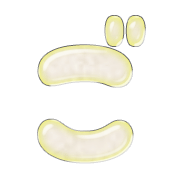 060