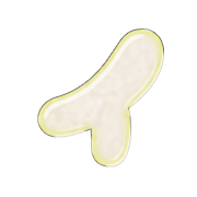 082