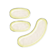 092