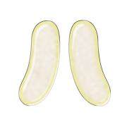 106