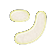 126
