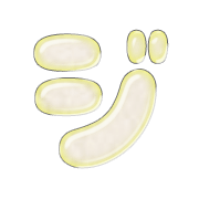142