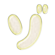 145