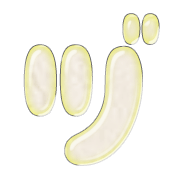 148