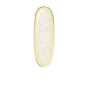 199