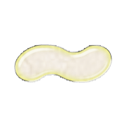 224