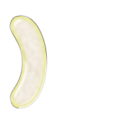 235