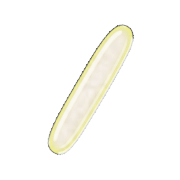 247