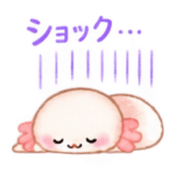 008