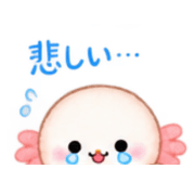 031
