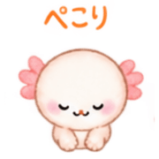 037