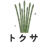 031