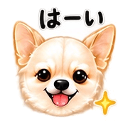 003