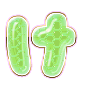 009