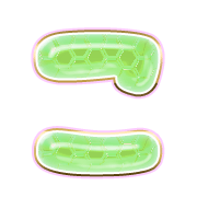 010