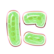 022