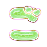 060