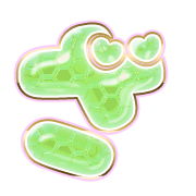 061