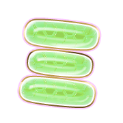 112
