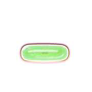161