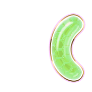 234