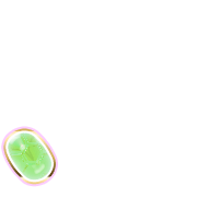 256