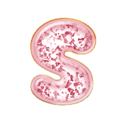 019