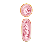035