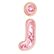 036