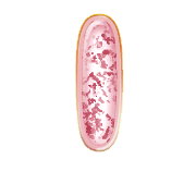 038