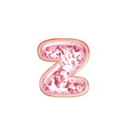 052