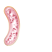 074