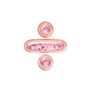 076