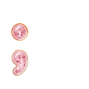 082