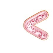 087